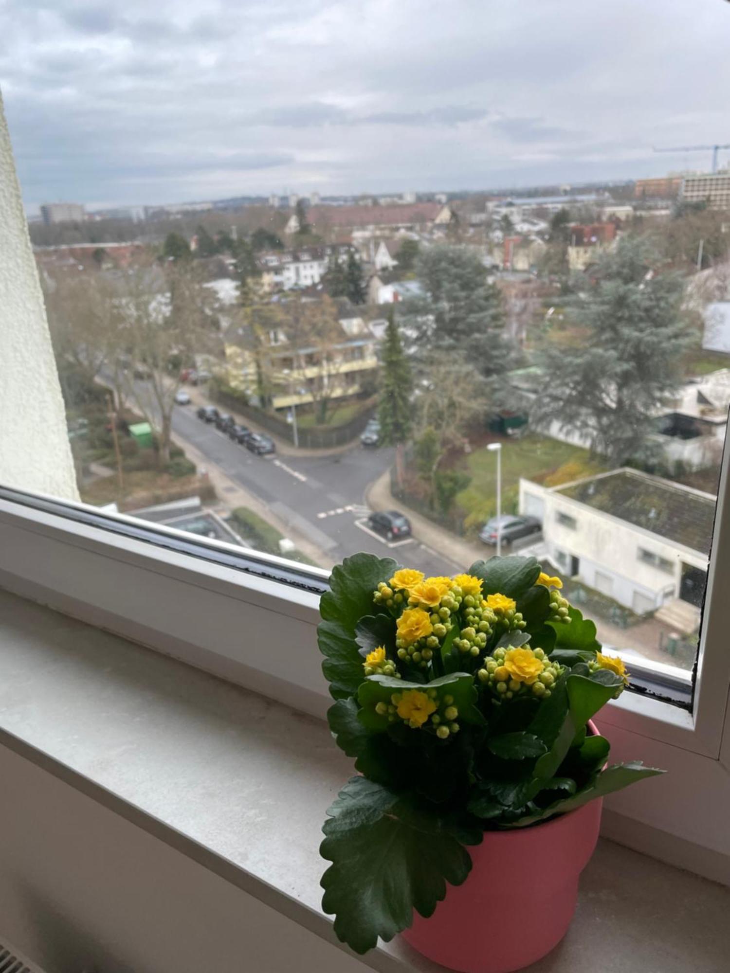 Wohnen Auf Zeit In Mainz, Grosse, Helle Wohnung, Uni Nah Apartment