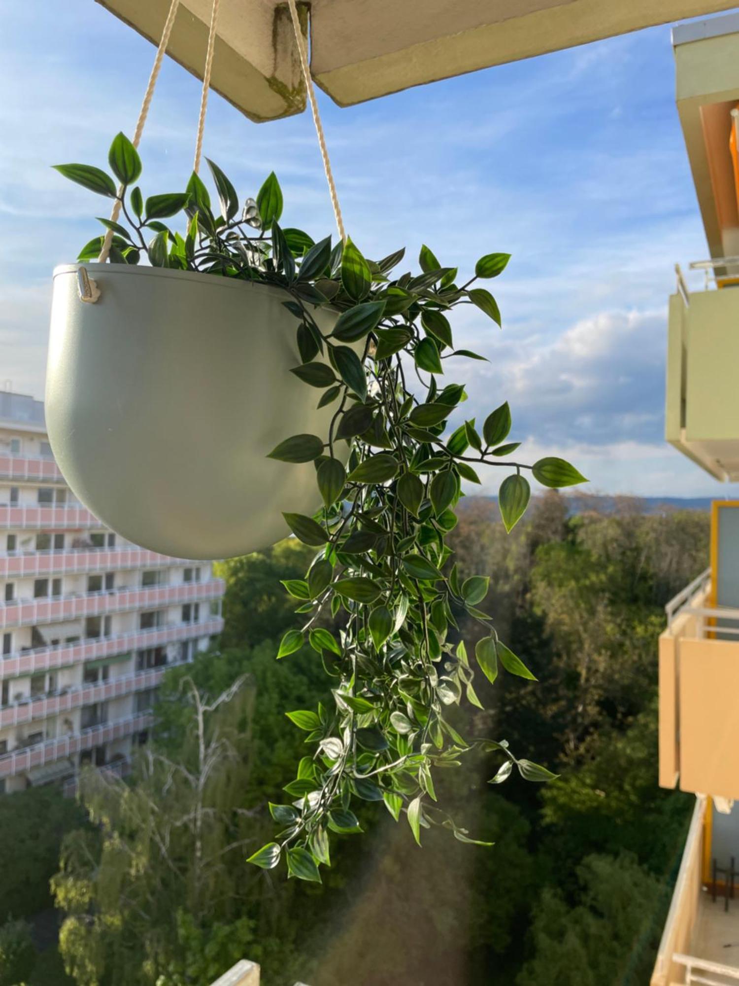 Wohnen Auf Zeit In Mainz, Grosse, Helle Wohnung, Uni Nah *