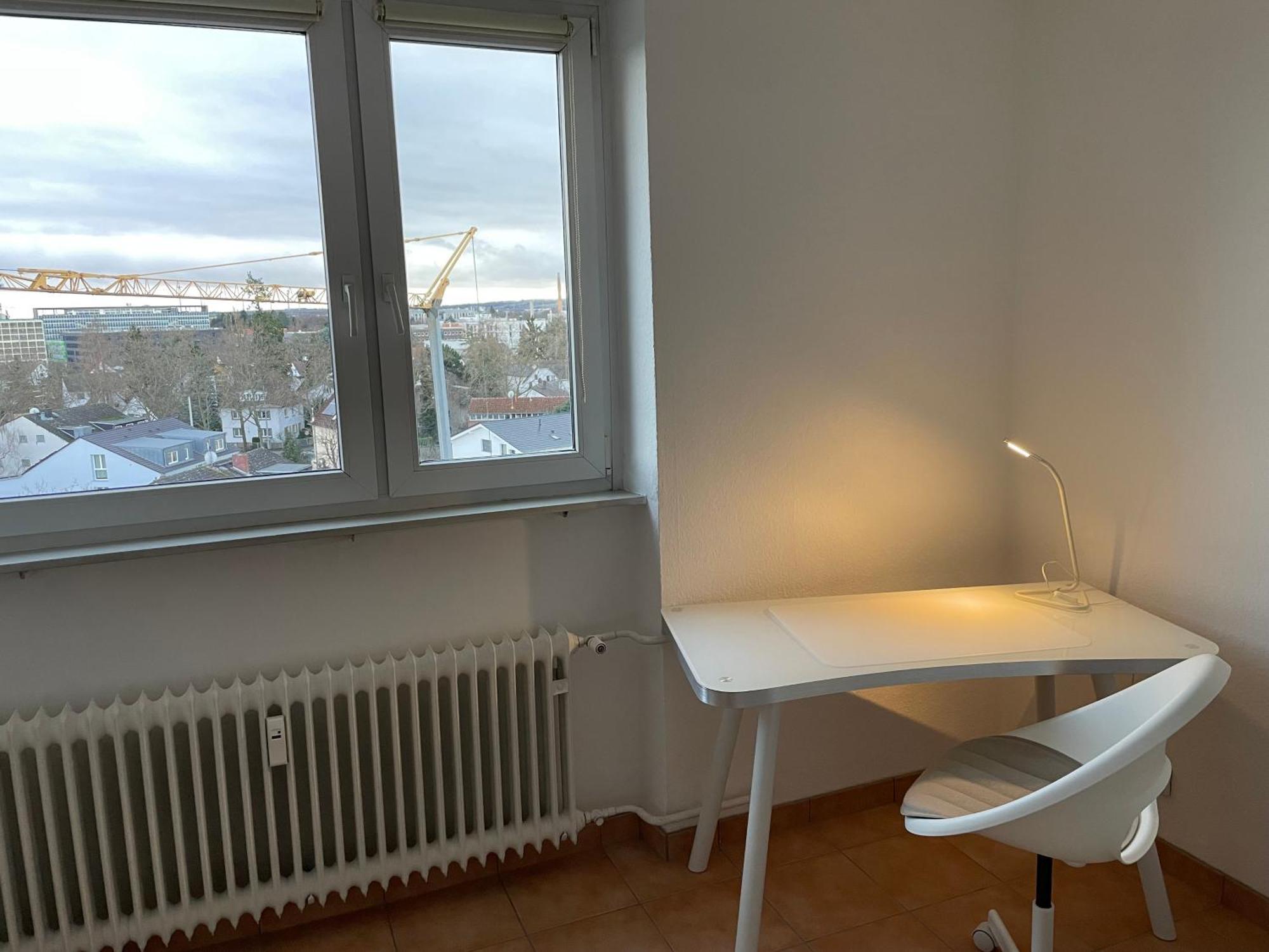 Wohnen Auf Zeit In Mainz, Grosse, Helle Wohnung, Uni Nah Mainz