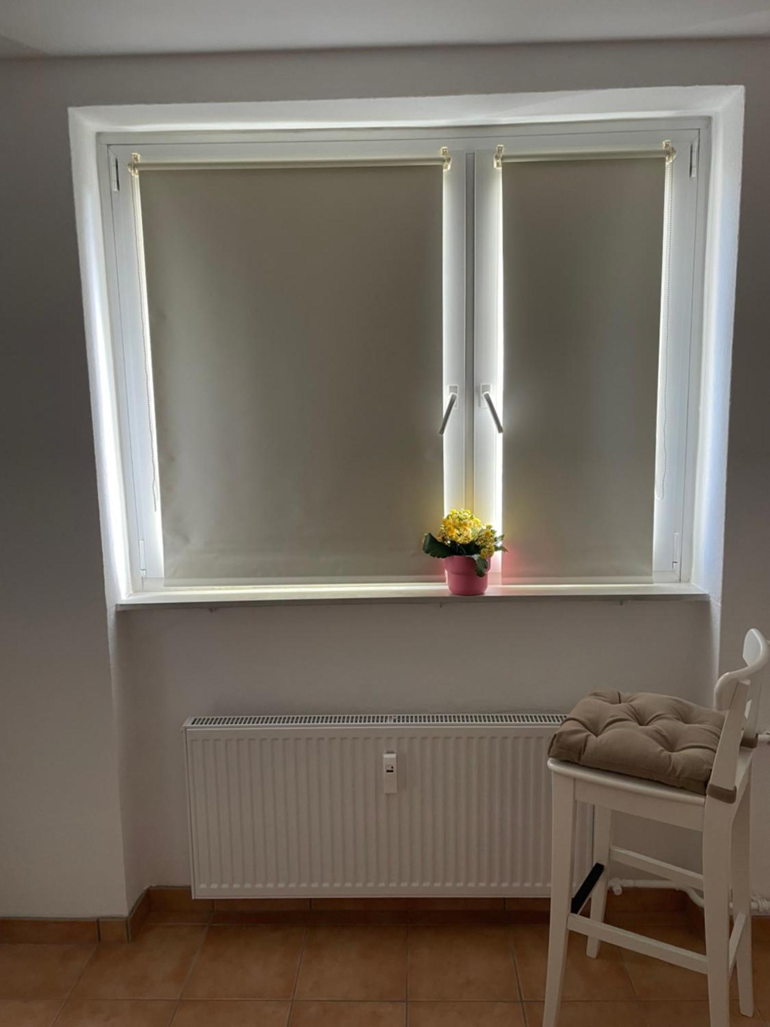 Apartment Wohnen Auf Zeit In Mainz, Grosse, Helle Wohnung, Uni Nah *