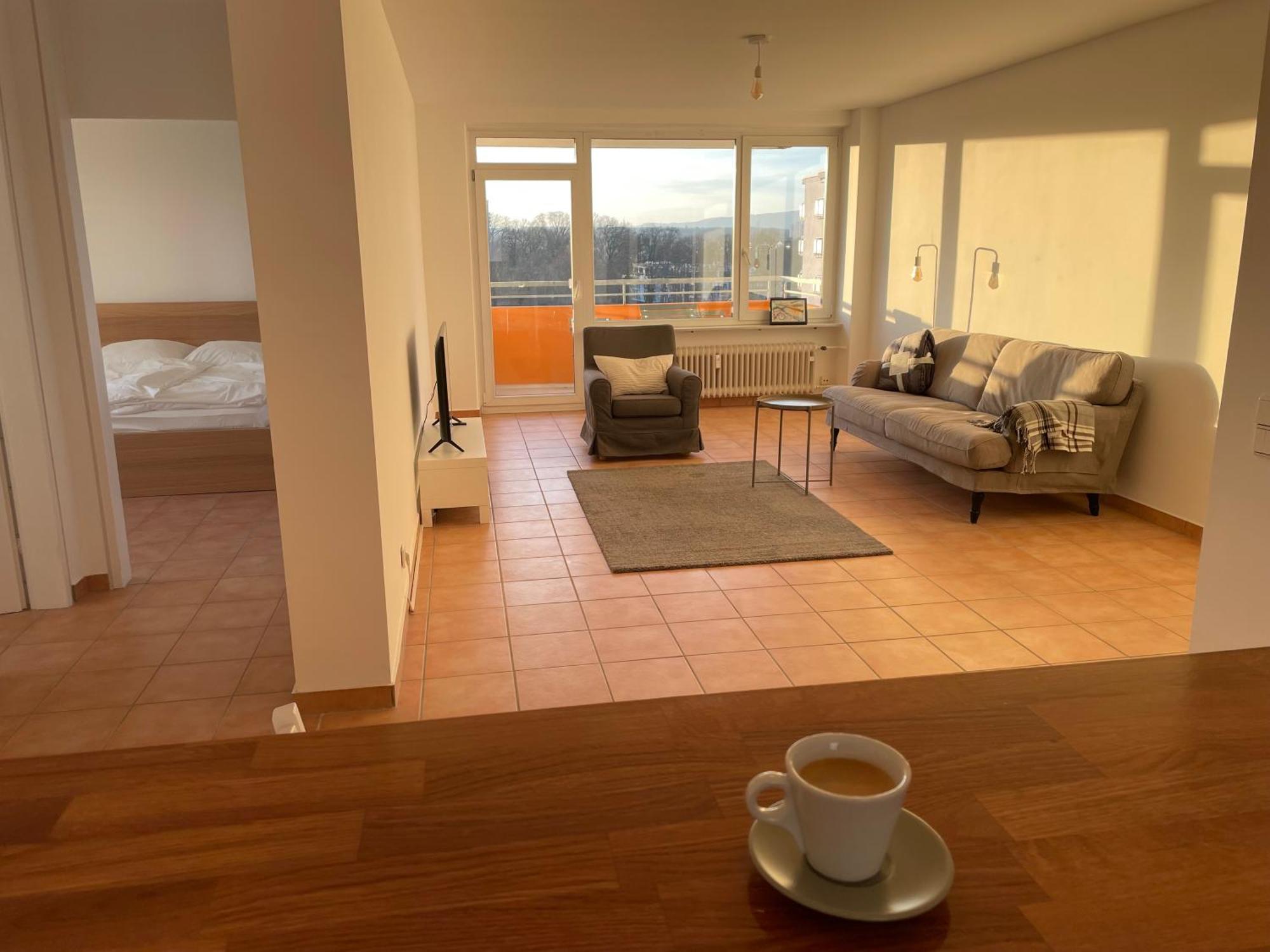 Wohnen Auf Zeit In Mainz, Grosse, Helle Wohnung, Uni Nah Apartment
